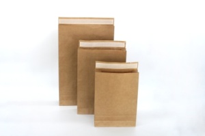 Brown Kraft Paper Mailing Postal Bag 16 x 3 x 24 + 2